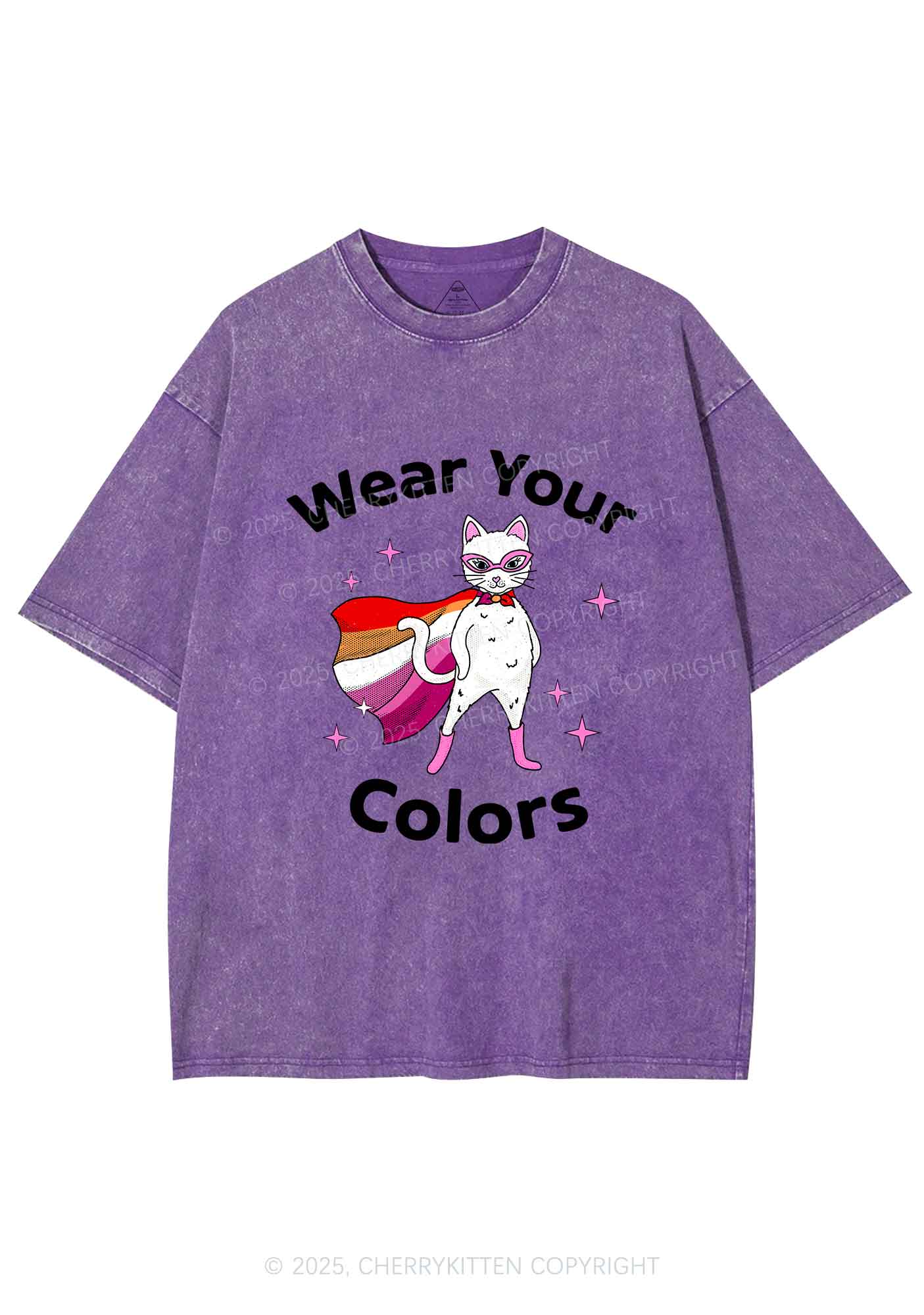 Lesbian Flag Cat Pride Y2K Shirts Washed Tee Cherrykitten