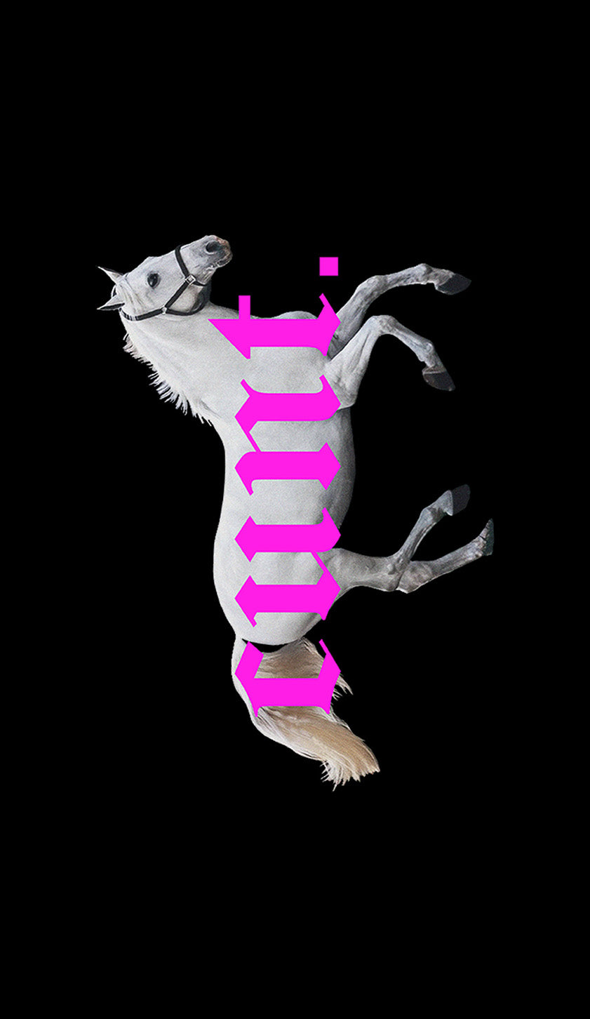 Pink Cxxt Horse Y2K Phone Case Cherrykitten