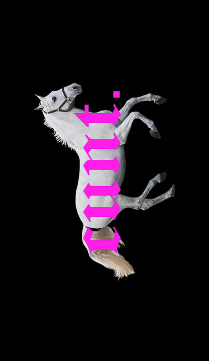 Pink Cxxt Horse Y2K Phone Case Cherrykitten