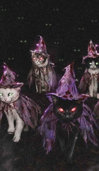 Halloween Purple Witch Hats Cat Y2K Phone Case Cherrykitten