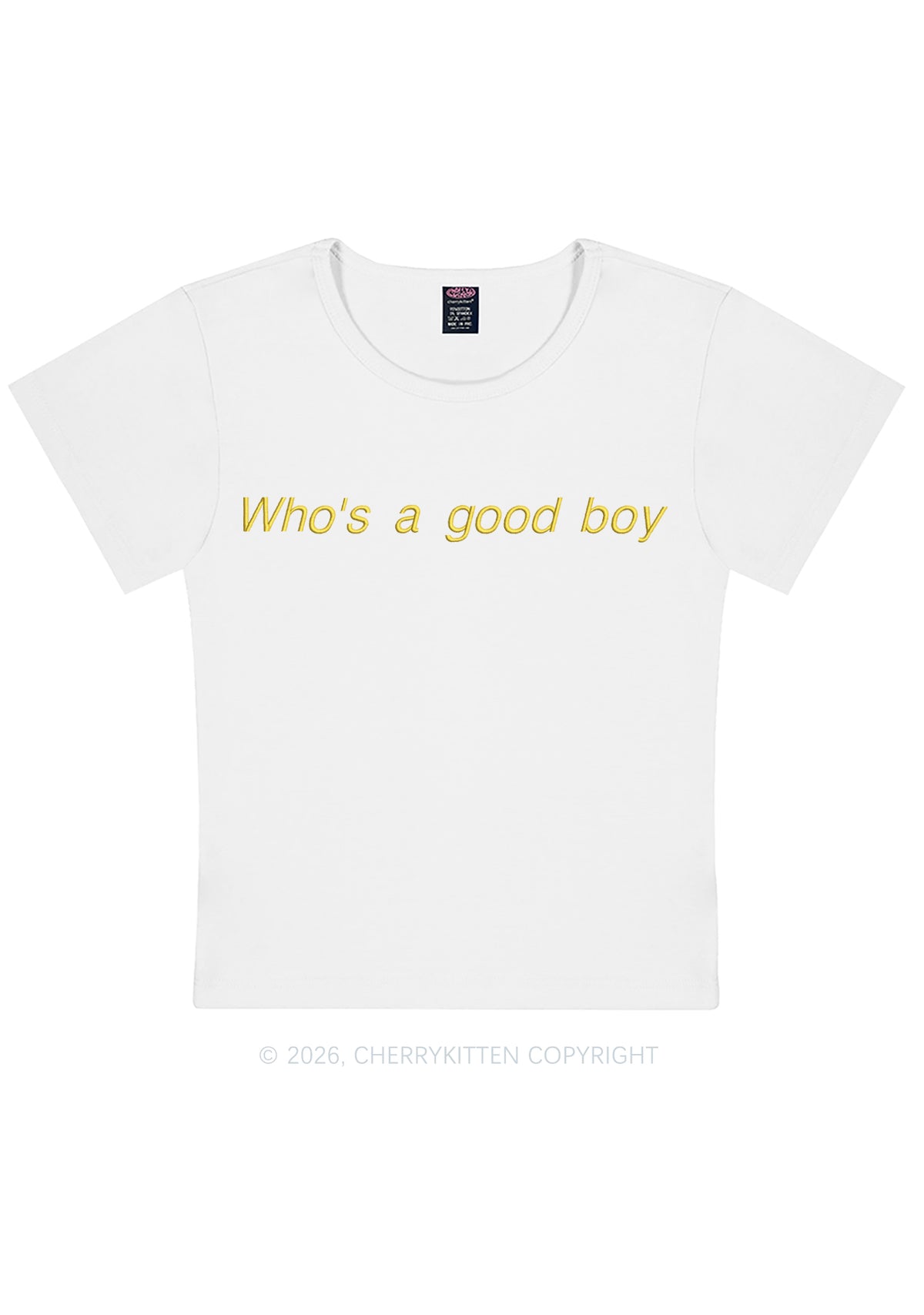 Embroidered Whos A Good Boy Y2K Baby Tee Cherrykitten