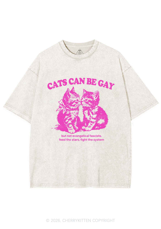 Cat Can Be Gay Pride Y2K Shirts Washed Tee Cherrykitten