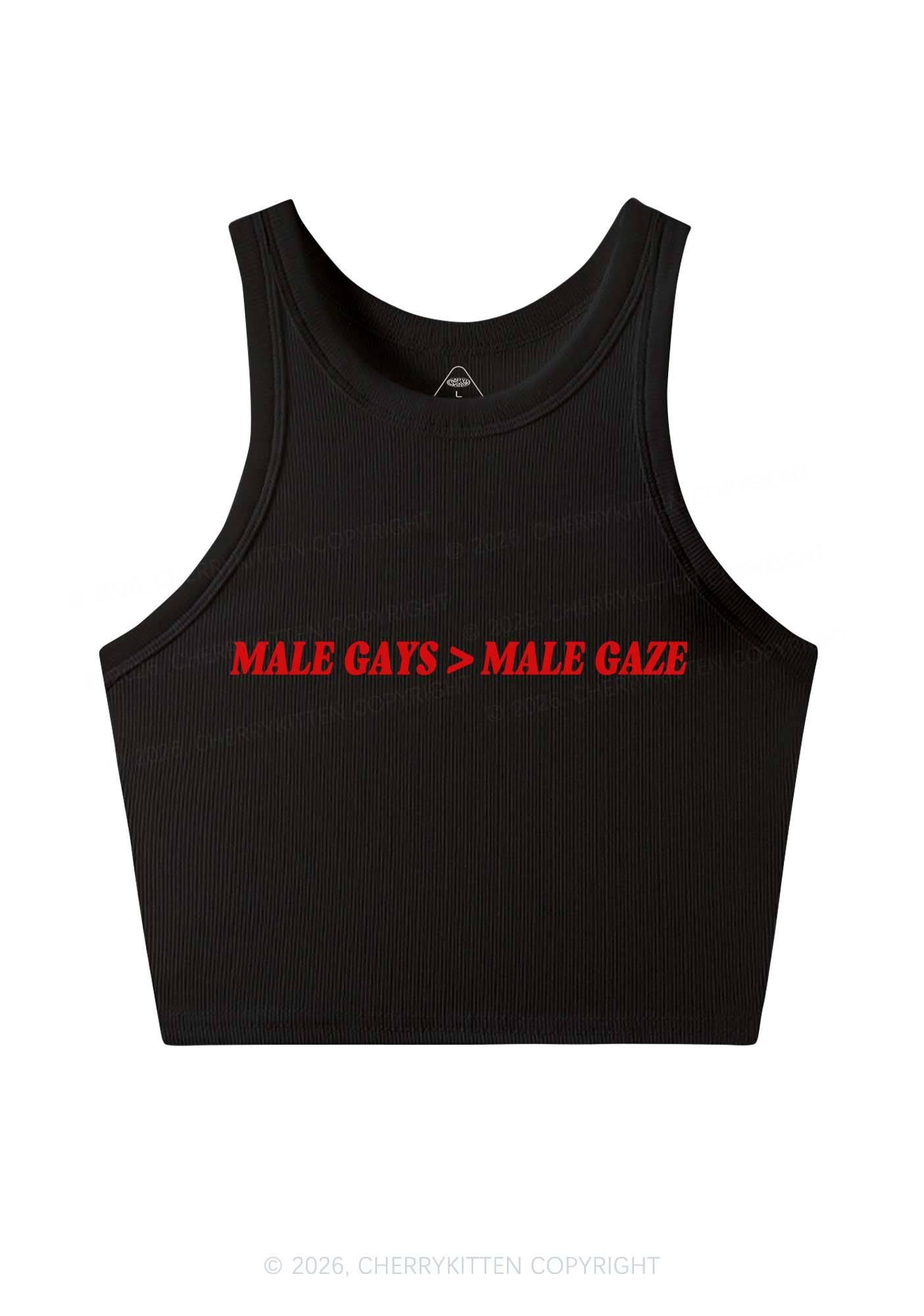 Male Gays Male Gaze Pride Y2K Crop Tank Top Cherrykitten