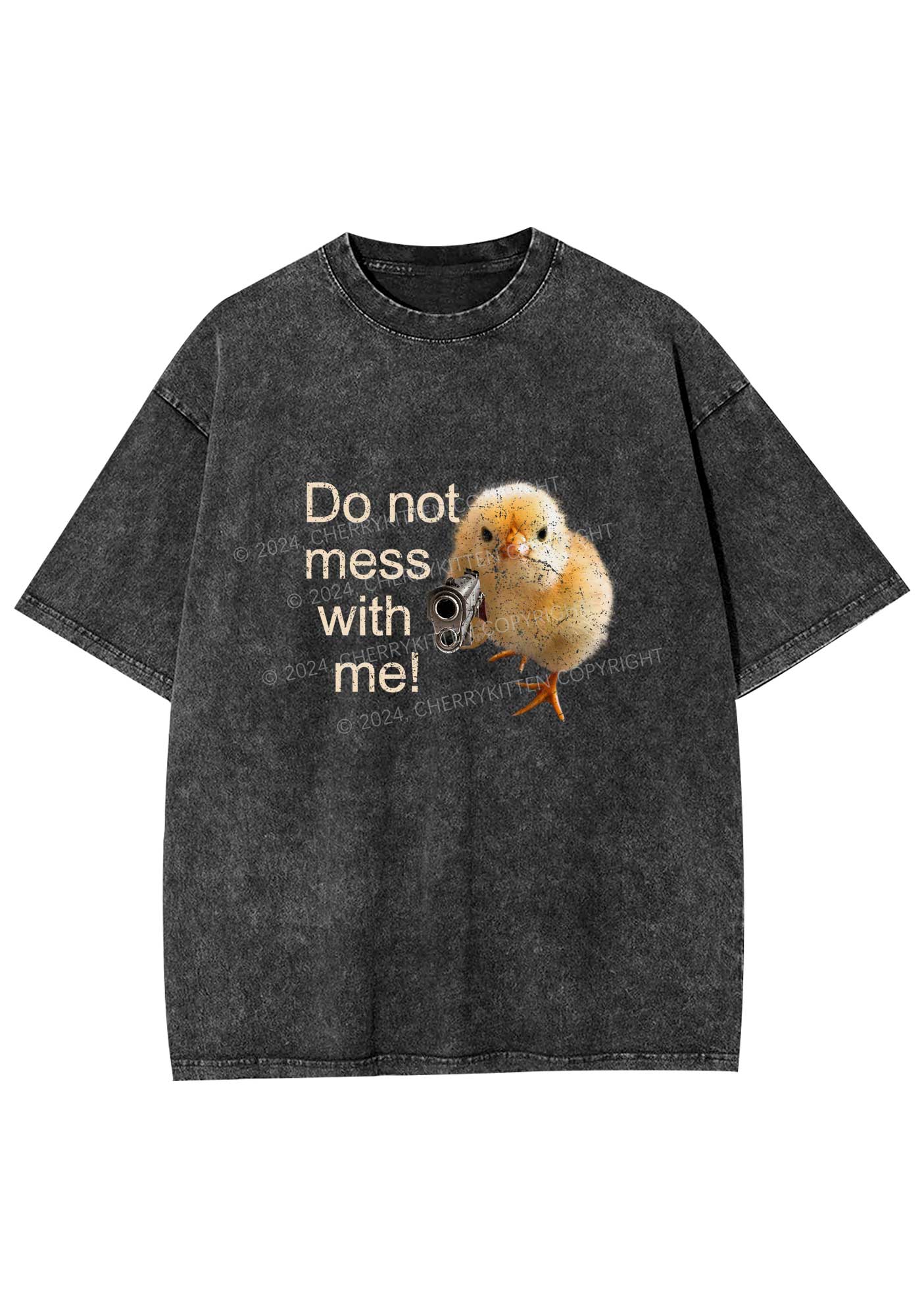 Do Not Mess With Me Y2K Washed Tee Cherrykitten