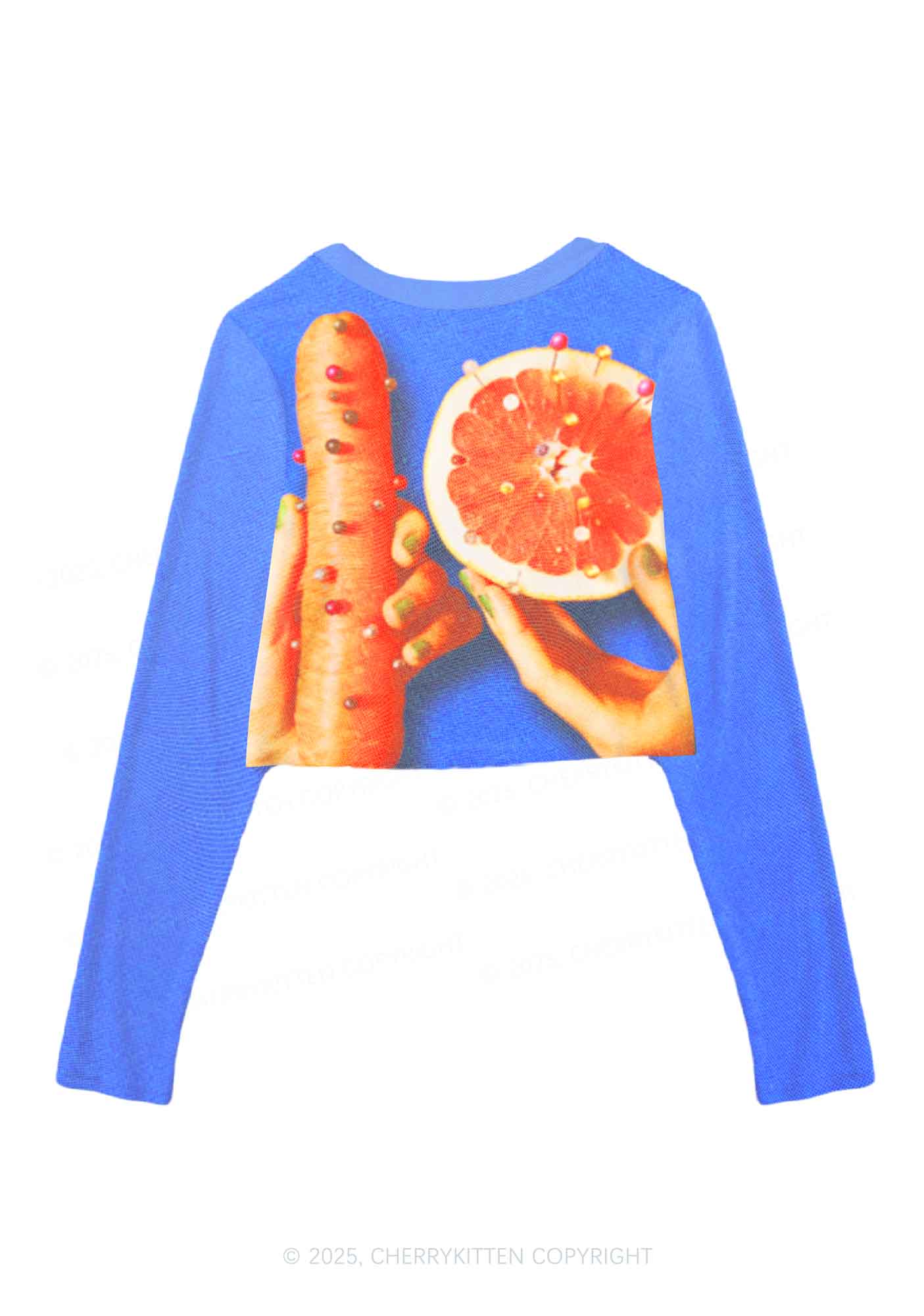 Carrots and Grapefruit Pride Y2K Mesh Long Sleeve Crop Top Cherrykitten