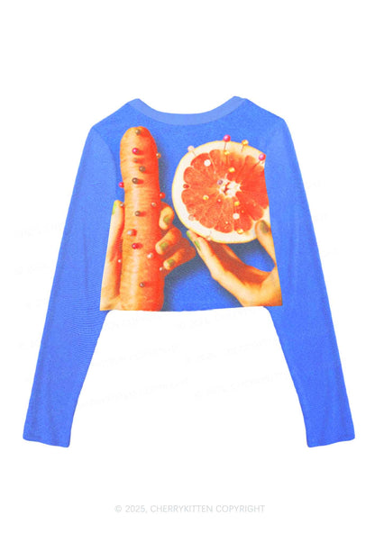 Carrots and Grapefruit Pride Y2K Mesh Long Sleeve Crop Top Cherrykitten