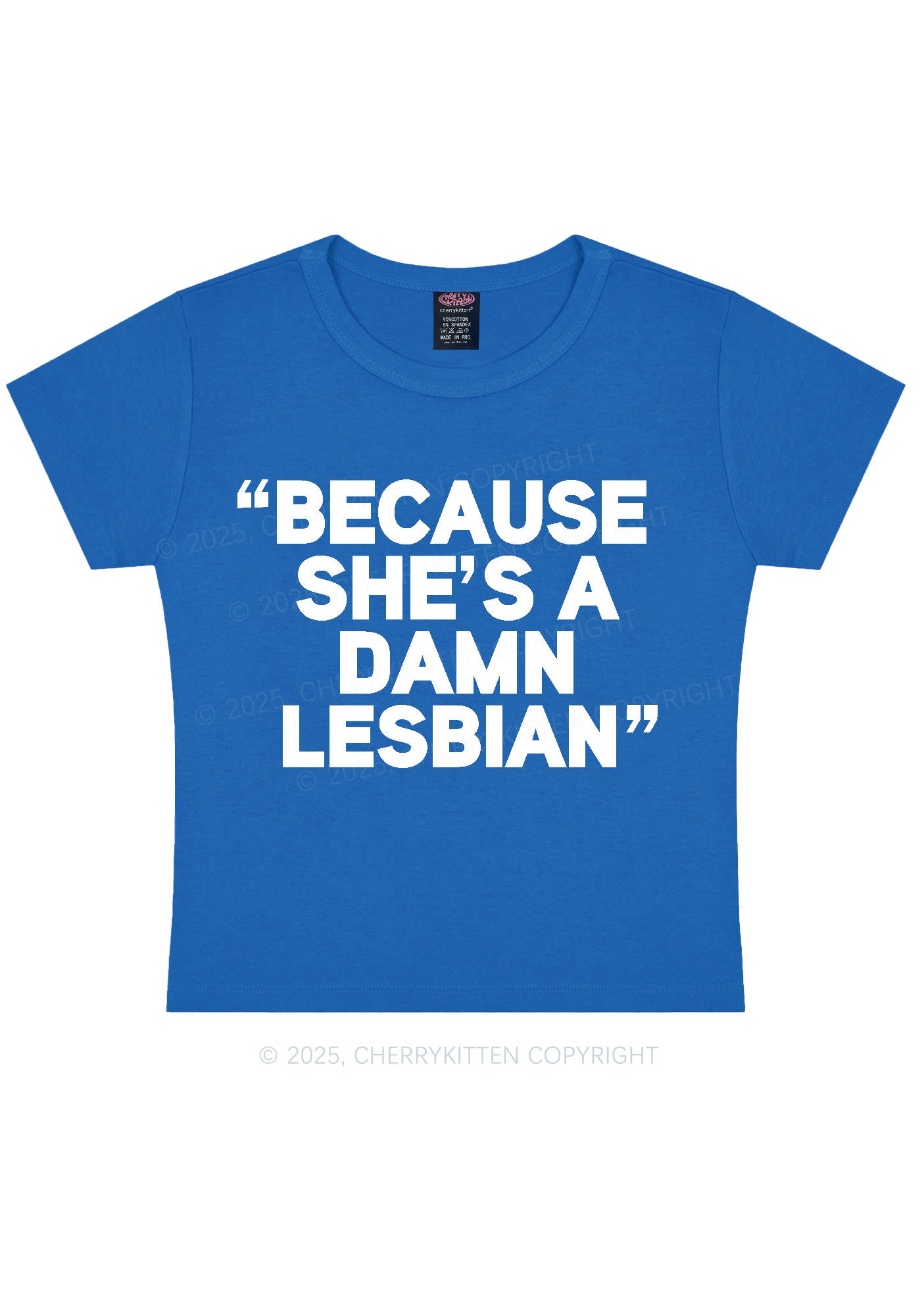 She's A Damn Lesbian Y2K Baby Tee Cherrykitten
