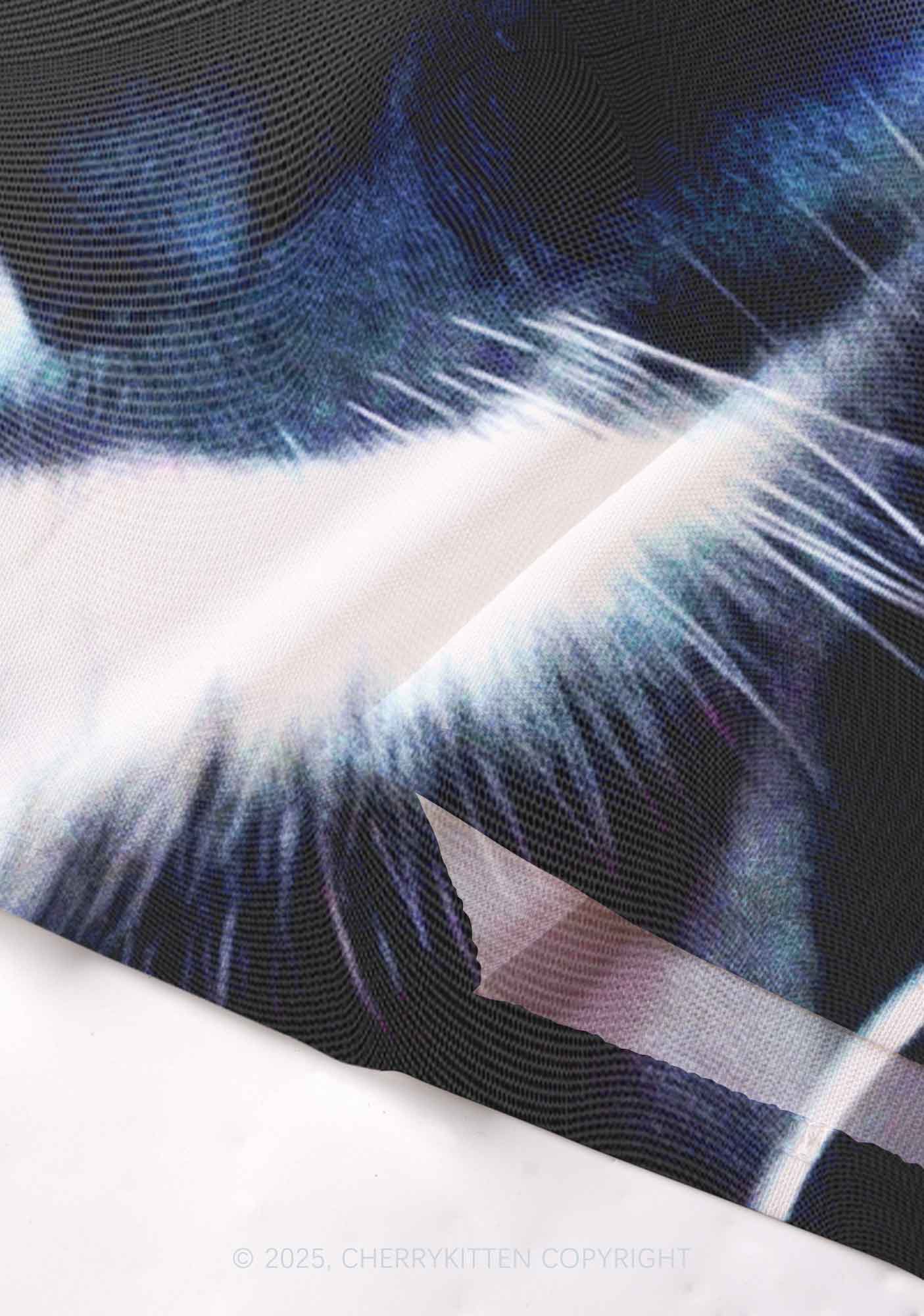 Odd Eyed Cat Y2K Mesh Long Sleeve Crop Top Cherrykitten