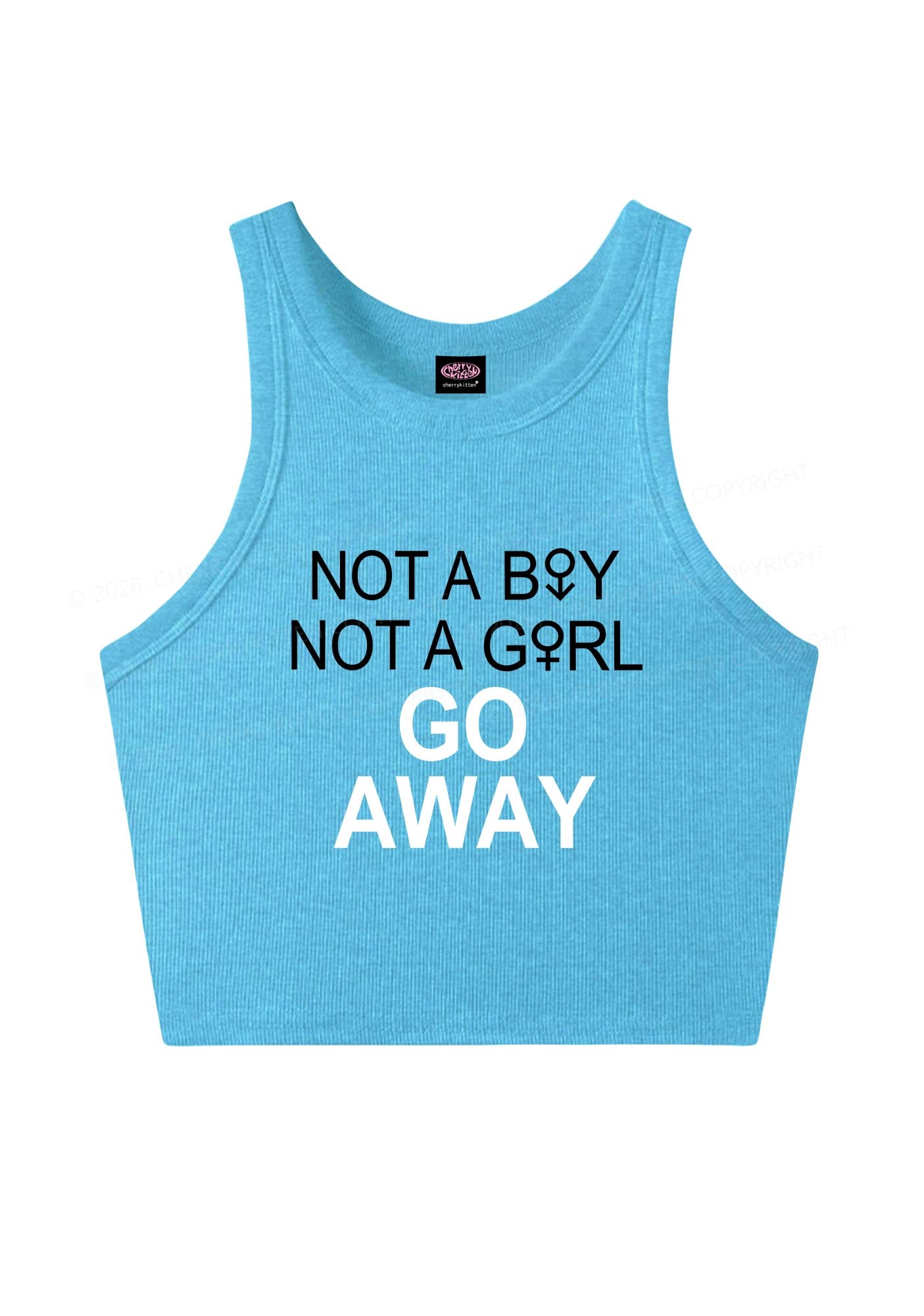 Go Away Pride Y2K Crop Tank Top Cherrykitten