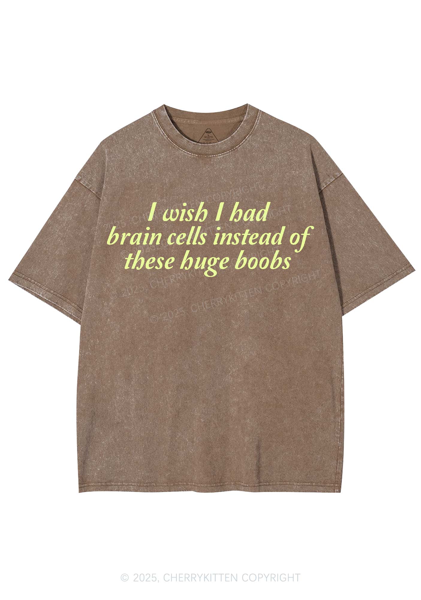 I Had Brain Cells Y2K Shirts Washed Tee Cherrykitten