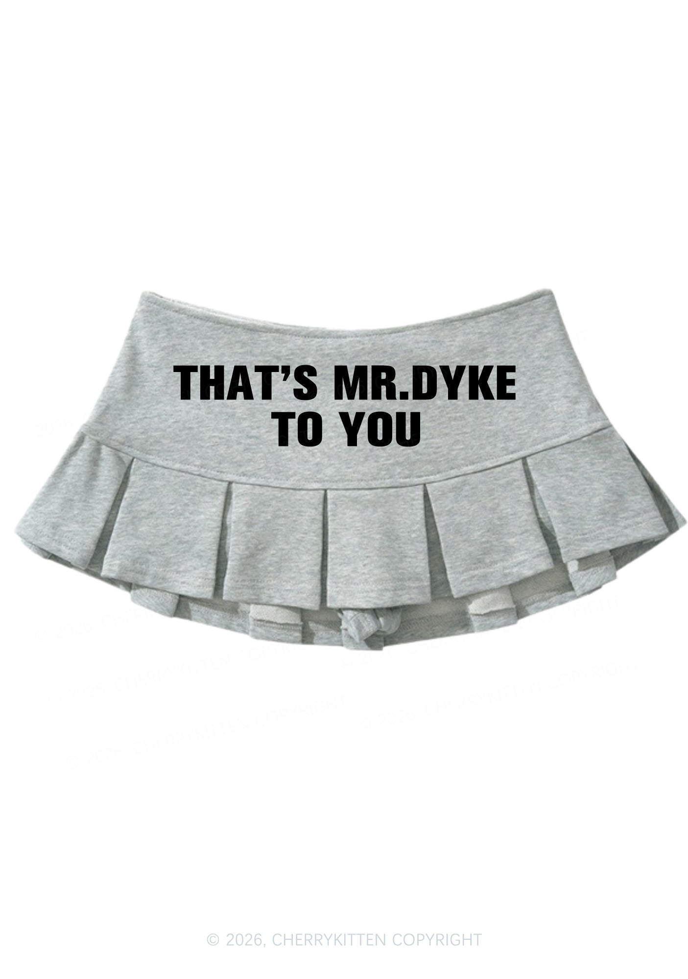 Thats Mr Dyke Pride Y2K Mini Pleated Skirts Cherrykitten