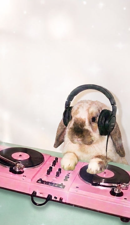 Lop Eared Bunny DJ Y2K Phone Case Cherrykitten