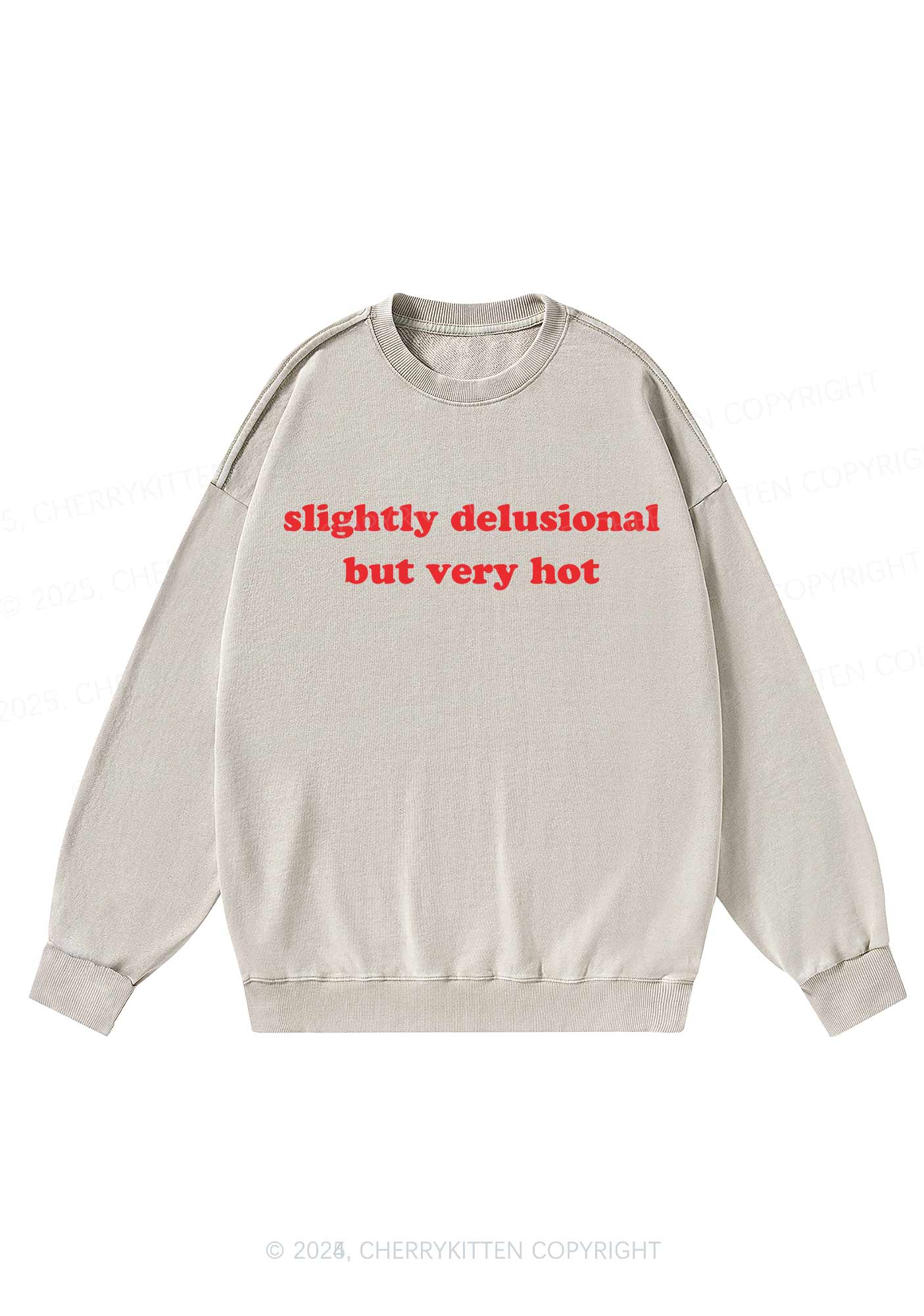 Slightly Delusional But Very Hot Y2K Washed Sweatshirts Cherrykitten