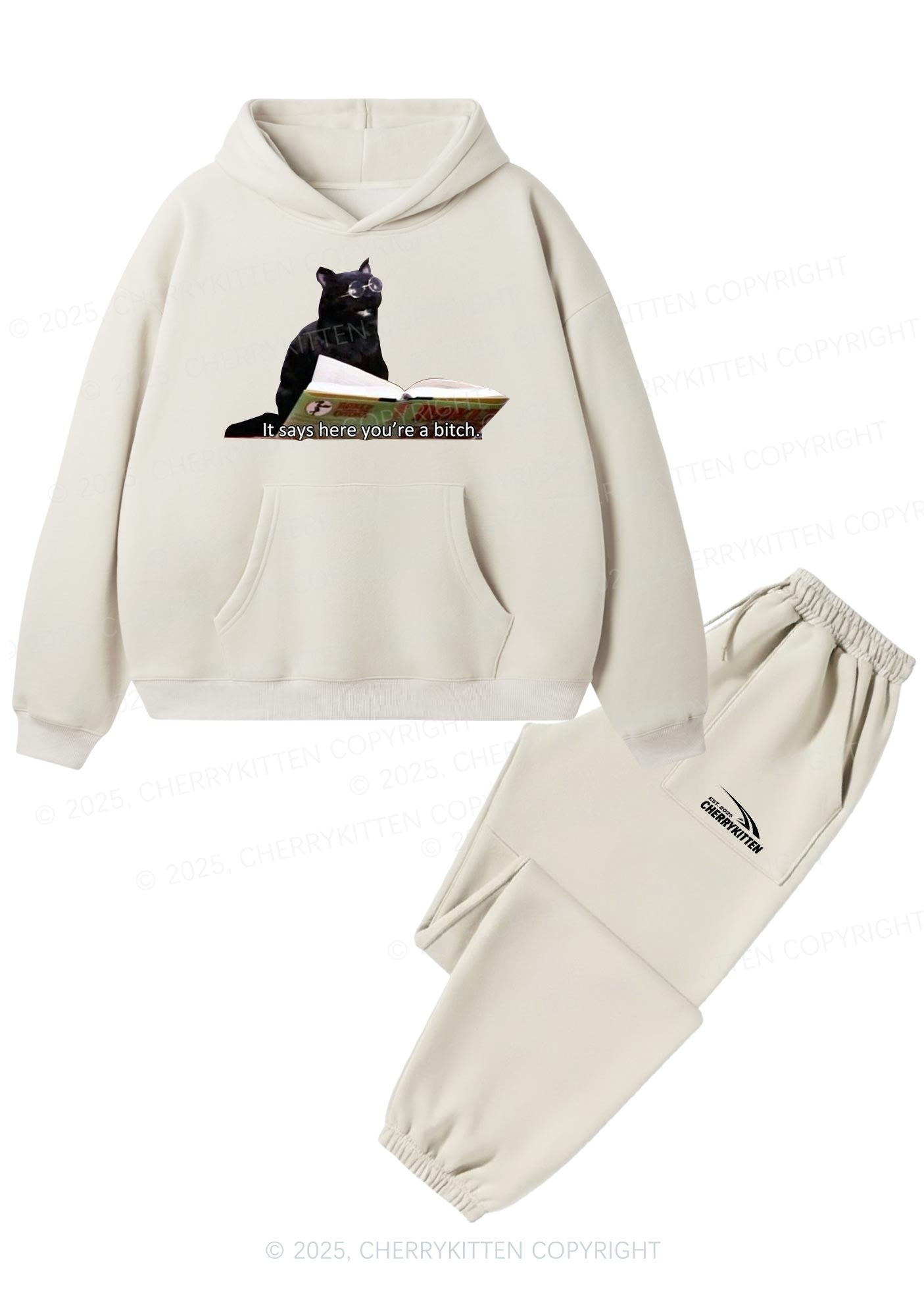It Says Here Youre A Bixxh Y2K Fleece Hoodie Set Cherrykitten