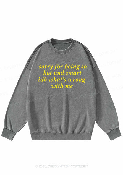 Sorry For Being So Smart Y2K Washed Sweatshirts Cherrykitten