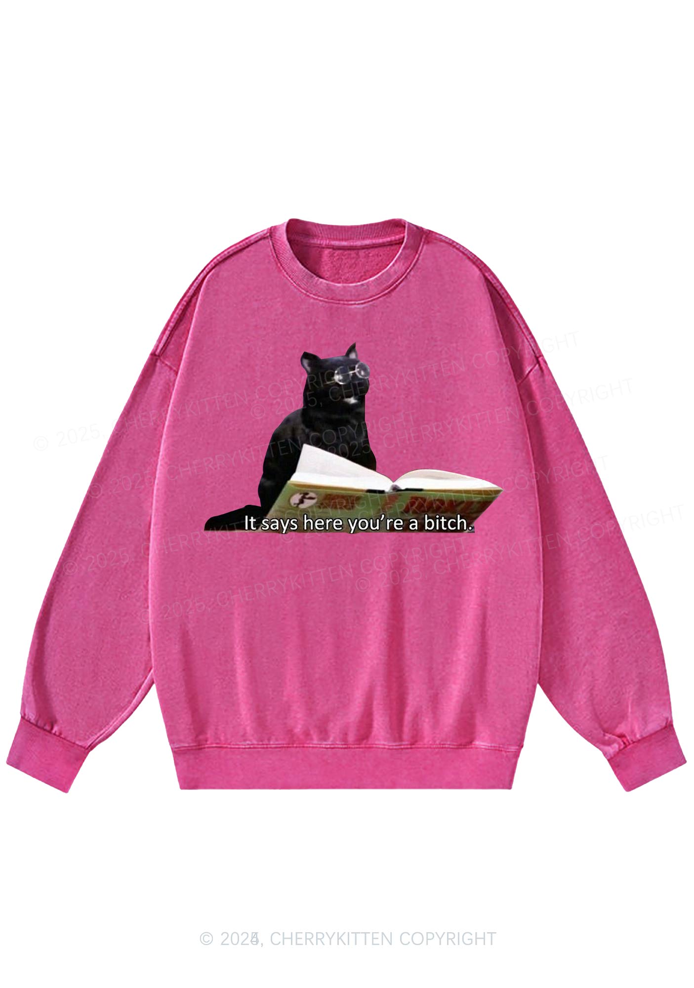 It Says Here Youre A Bixxh Y2K Washed Sweatshirts Cherrykitten
