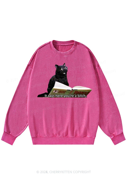 It Says Here Youre A Bixxh Y2K Washed Sweatshirts Cherrykitten
