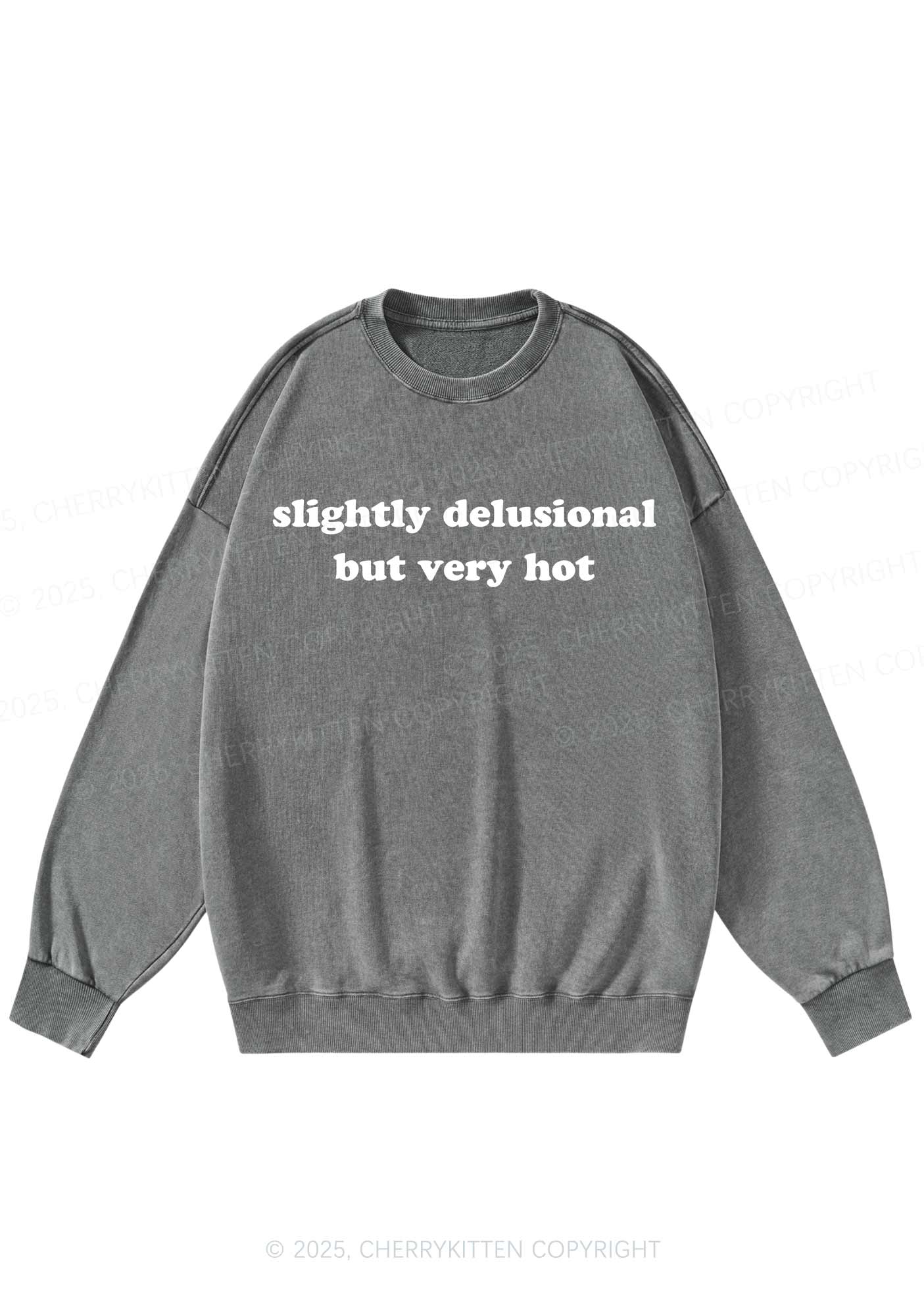 Slightly Delusional But Very Hot Y2K Washed Sweatshirts Cherrykitten