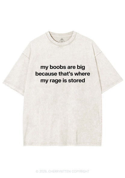 My Bxxbs Stored Rage Y2K Shirts Washed Tee Cherrykitten