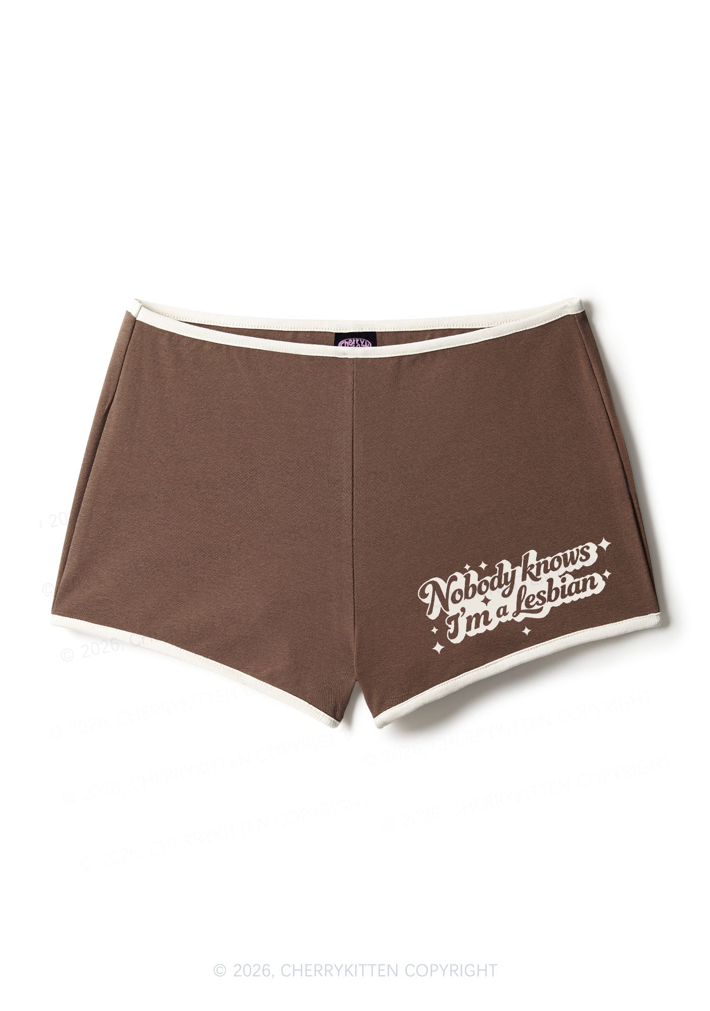 Nobody Knows Im A Lesbian Pride Y2K Booty Shorts Cherrykitten