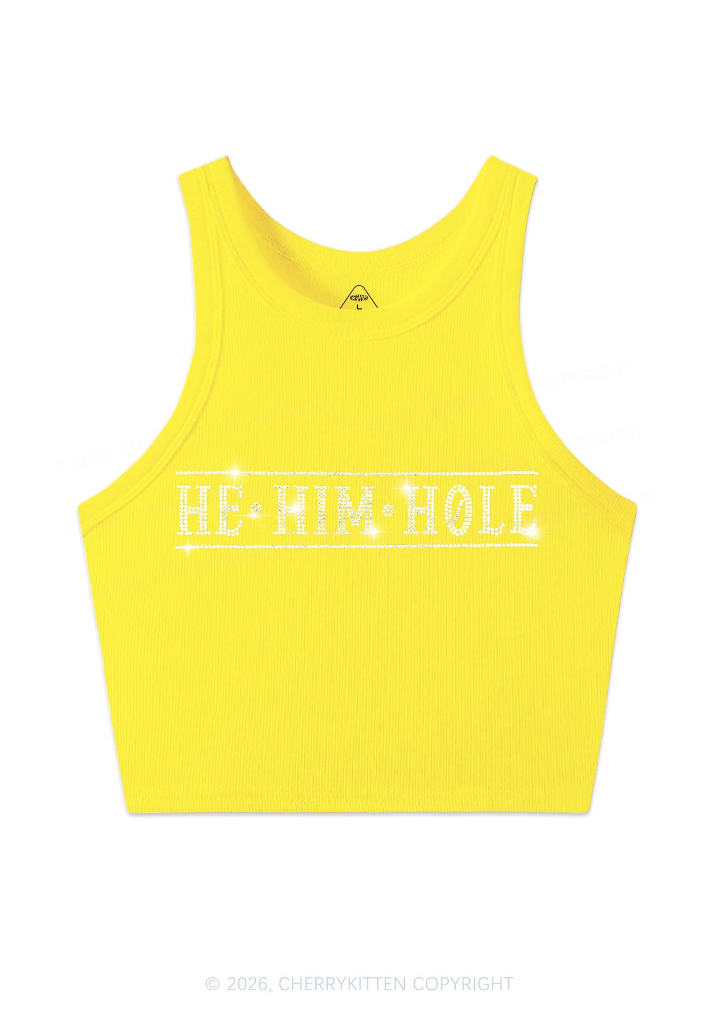 Rhinestone He Him Hole Pride Y2K Crop Tank Top Cherrykitten