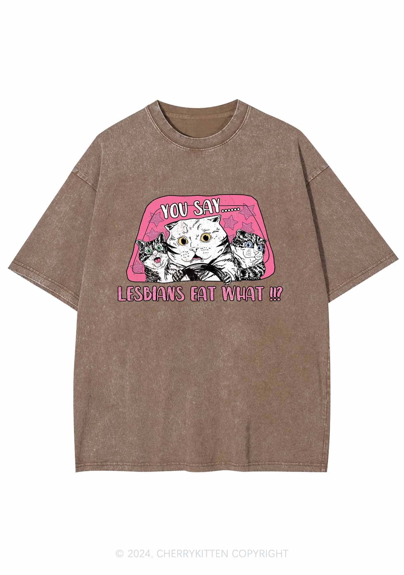 You Say Lesbians Eat What Y2K Washed Tee Cherrykitten