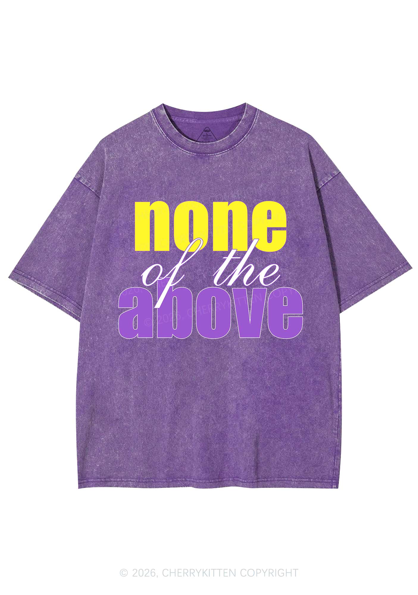 None Of The Above Pride Y2K Shirts Washed Tee Cherrykitten