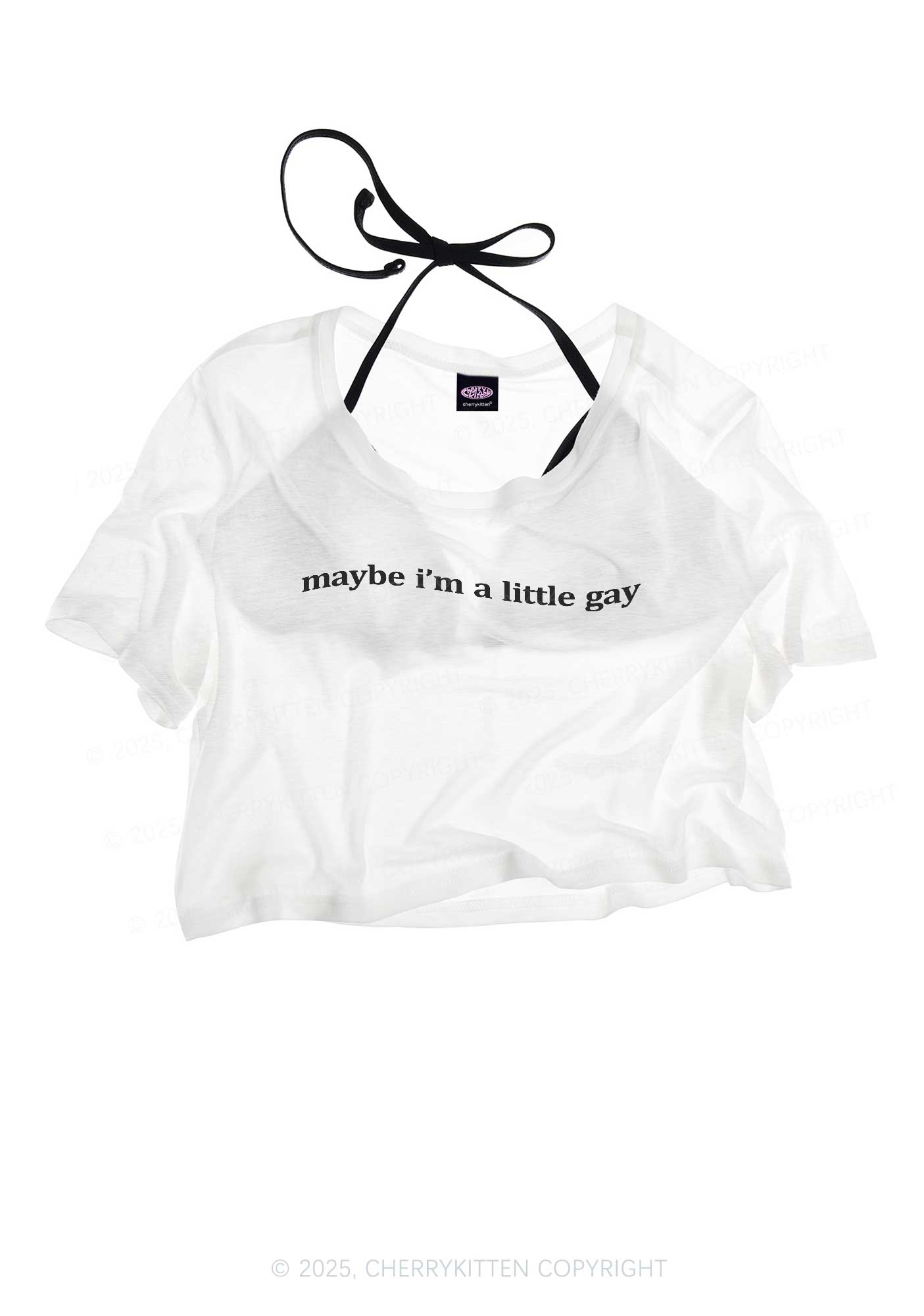 Maybe Im A Little Gay Pride Y2K Sheer Crop Tee Cherrykitten