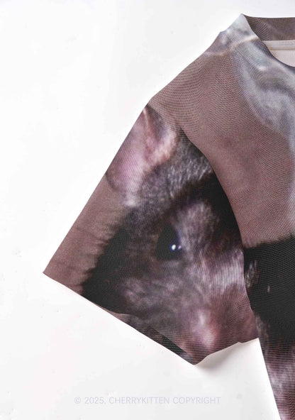 Smoking Rats Y2K Mesh Crop Top Cherrykitten