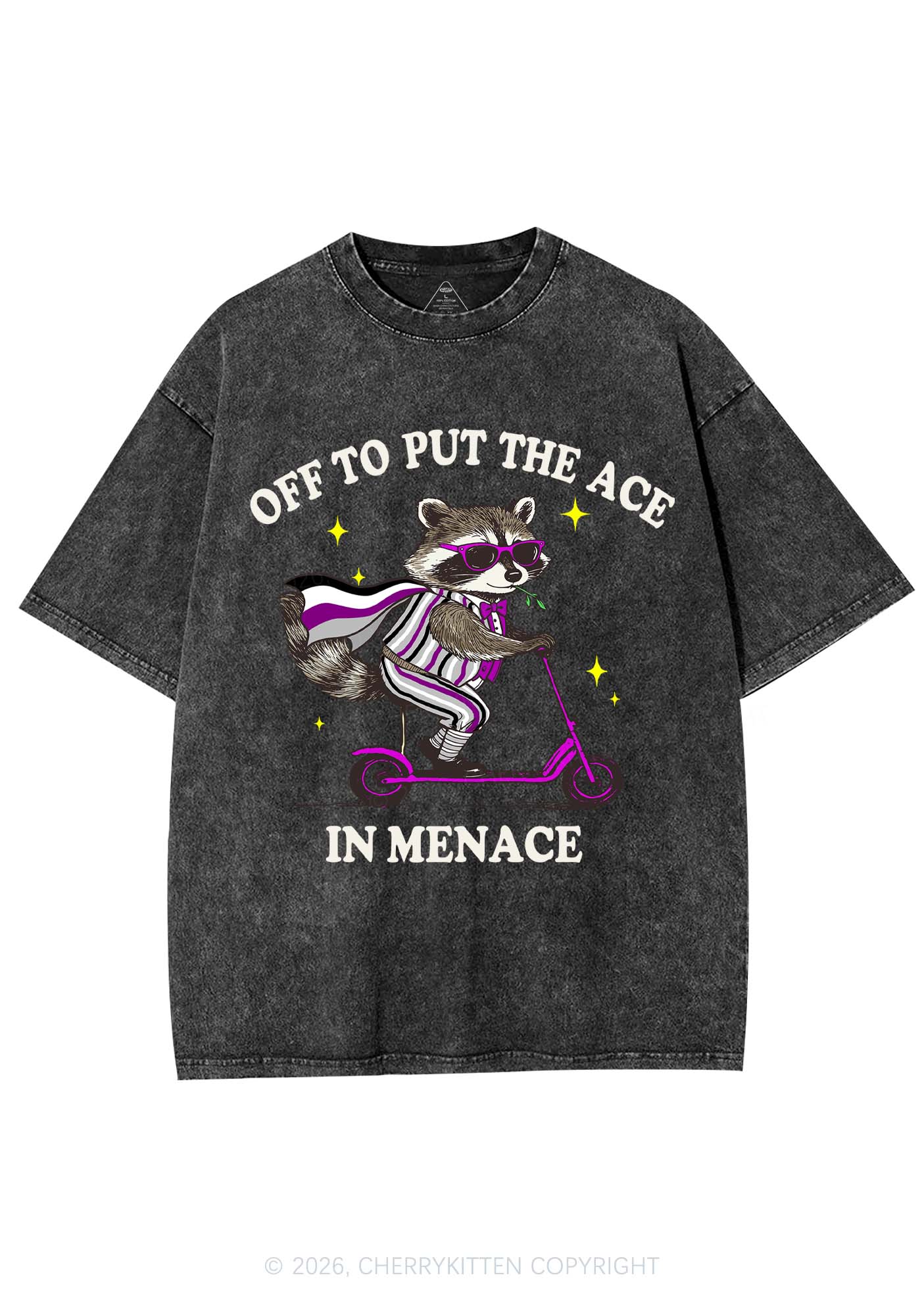 Put The Ace In Menace Pride Y2K Shirts Washed Tee Cherrykitten