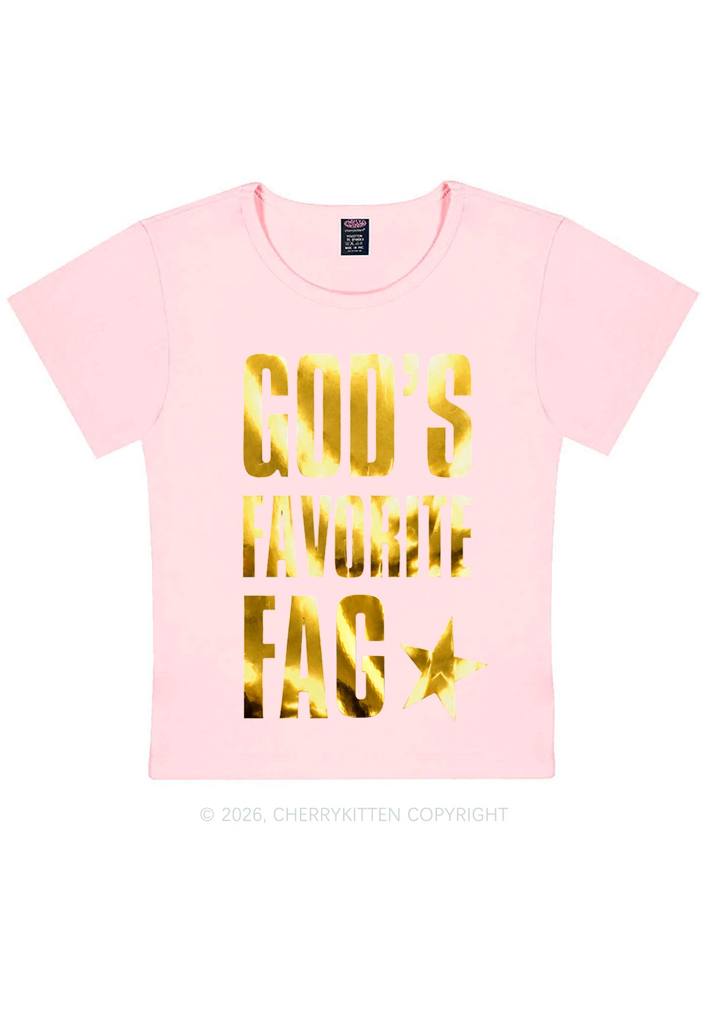 Gods Favorite Fag Pride Silver Foil Printed Y2K Baby Tee Cherrykitten