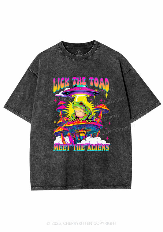 Lick The Toad Y2K Shirts Washed Tee Cherrykitten