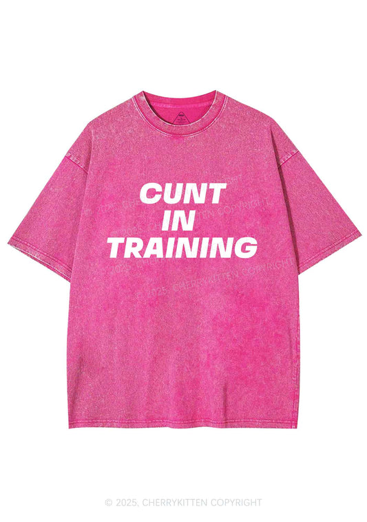 Cxxt In Training Y2K Shirts Washed Tee Cherrykitten