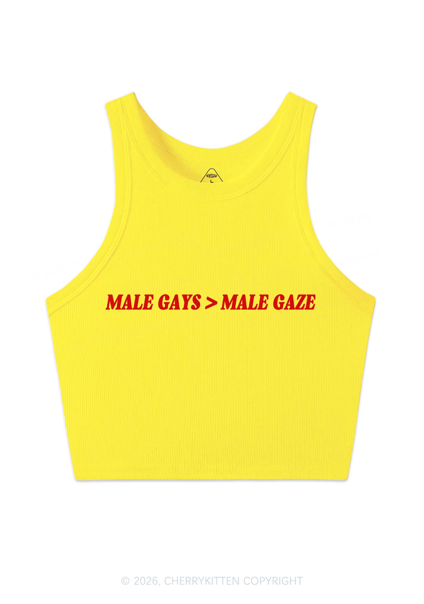 Male Gays Male Gaze Pride Y2K Crop Tank Top Cherrykitten