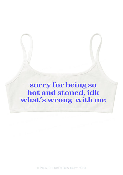 Sorry For Being Hot And Stoned Y2K Super Crop Cami Cherrykitten
