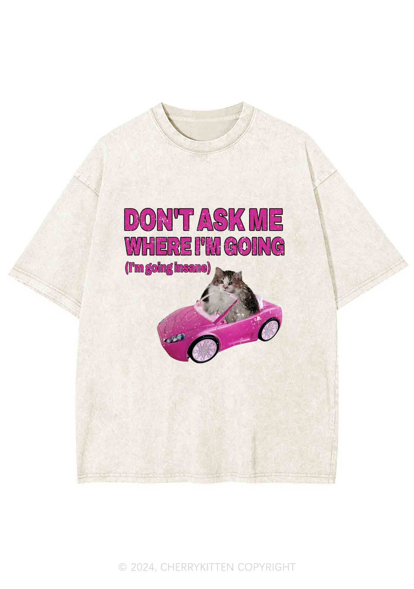 I'm Going Insane Y2K Washed Tee Cherrykitten