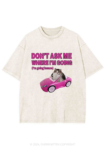 I'm Going Insane Y2K Washed Tee Cherrykitten