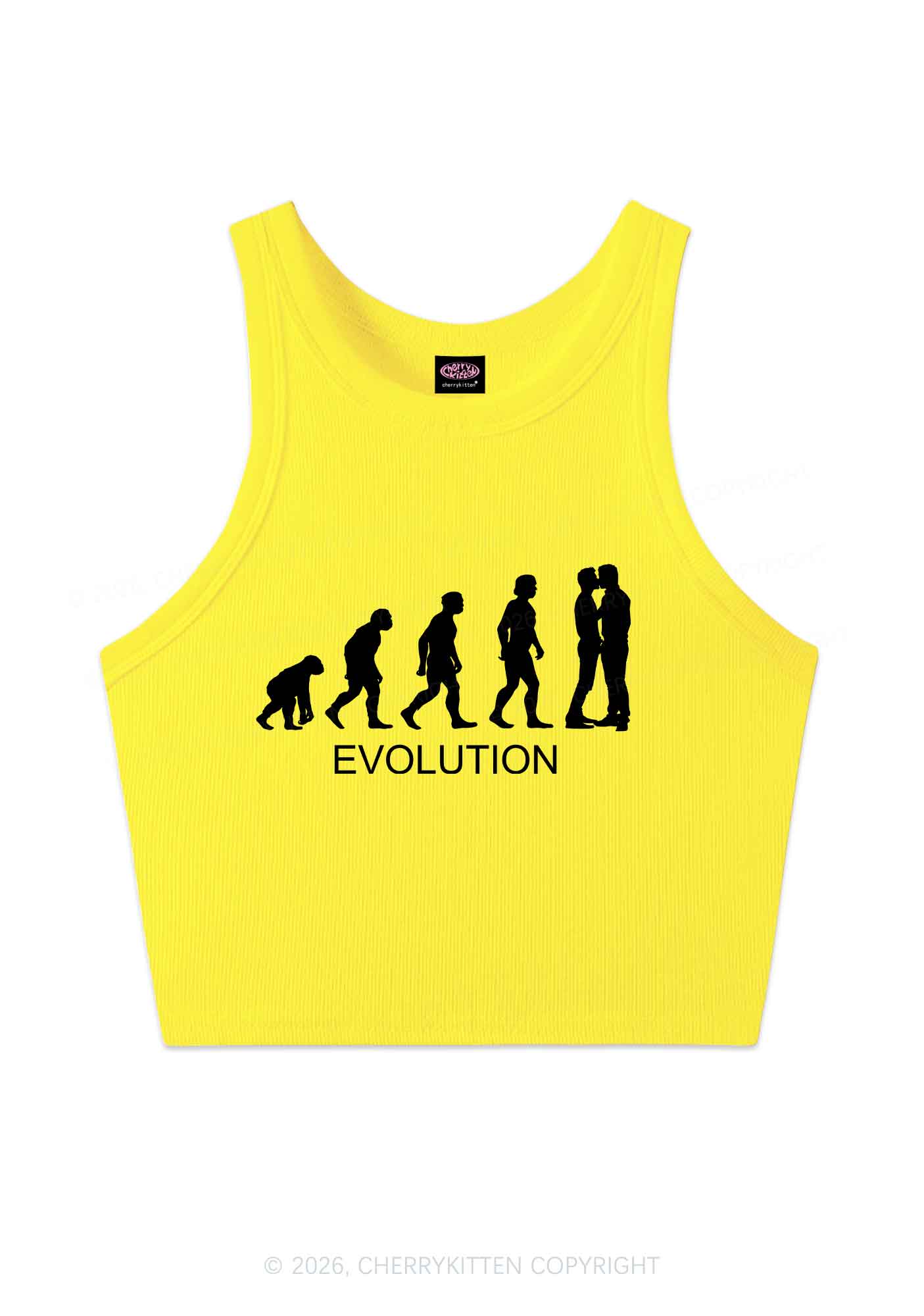 Gay Evolution Pride Y2K Crop Tank Top Cherrykitten