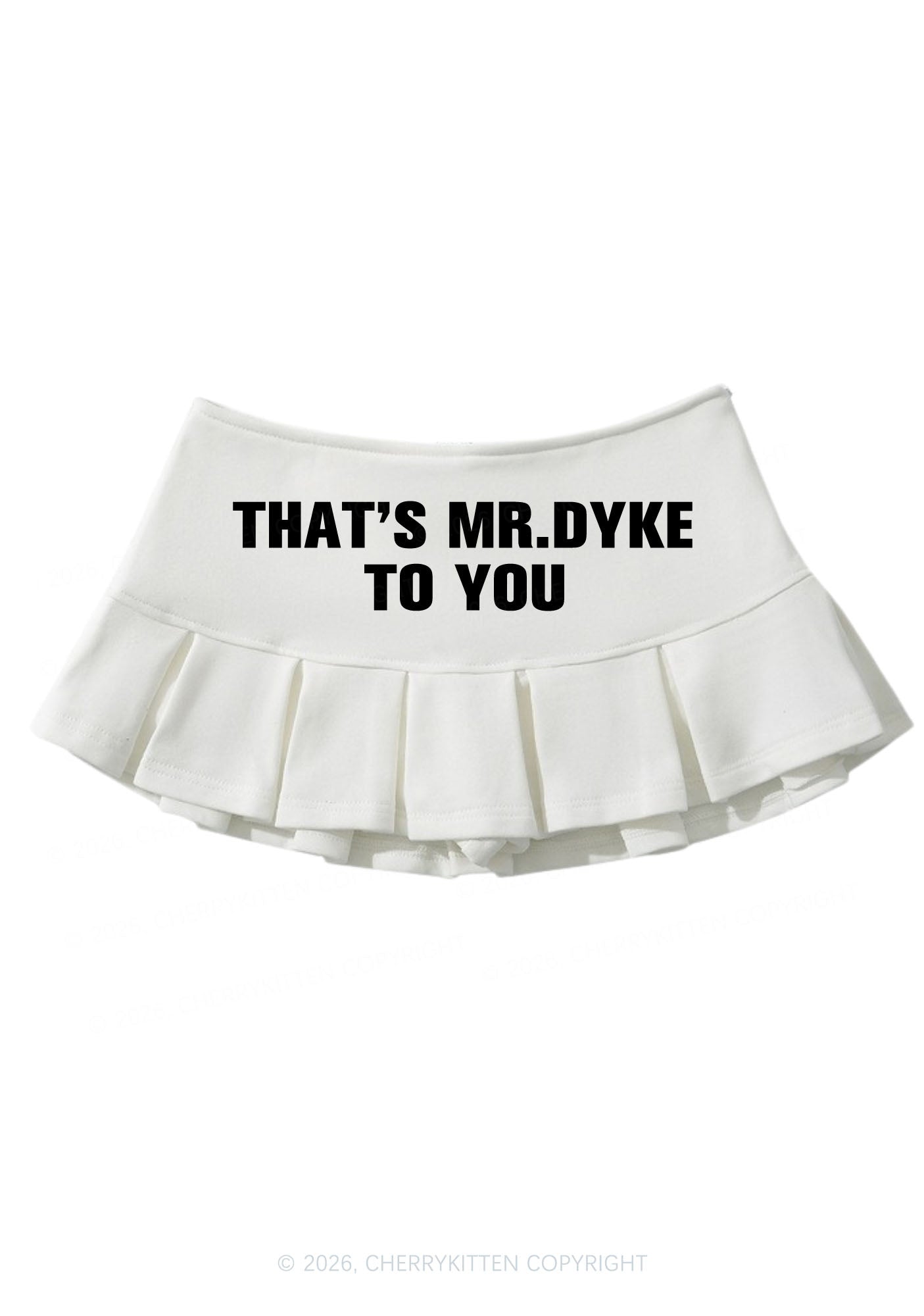 Thats Mr Dyke Pride Y2K Mini Pleated Skirts Cherrykitten