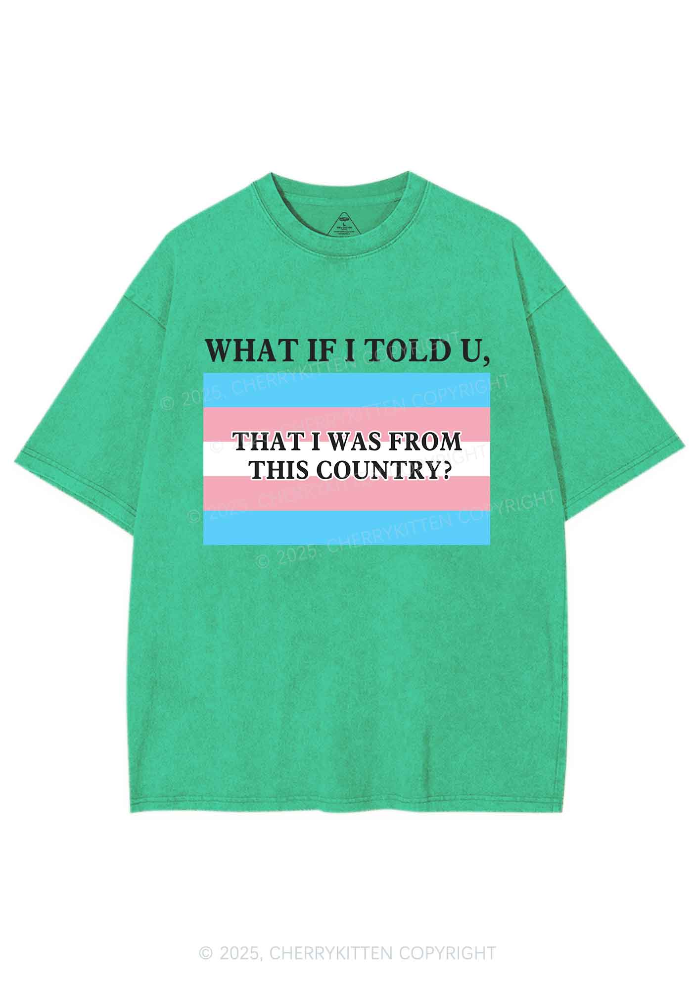 I Was From This Country Y2K Shirts Washed Tee Cherrykitten