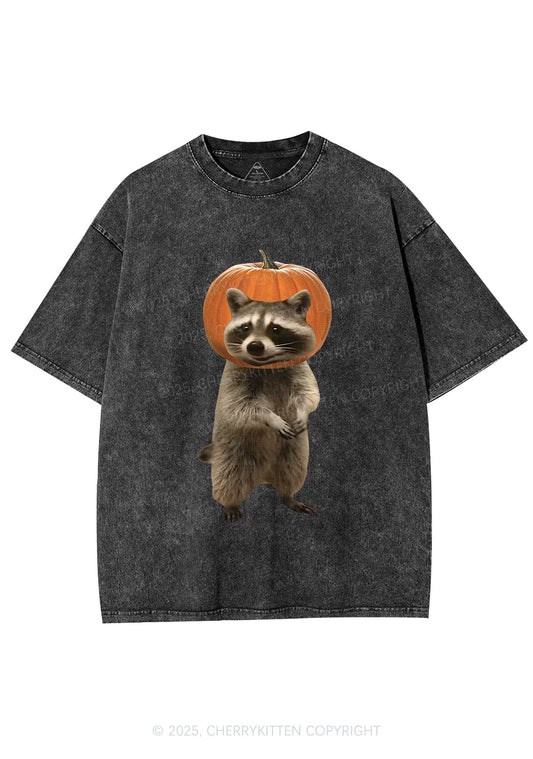Halloween Silly Raccoon Y2K Shirts Washed Tee Cherrykitten