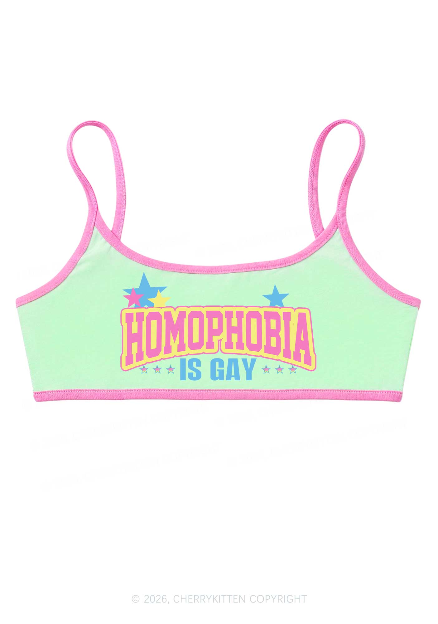 Homophobia Is Gay Pride Y2K Super Crop Cami Cherrykitten