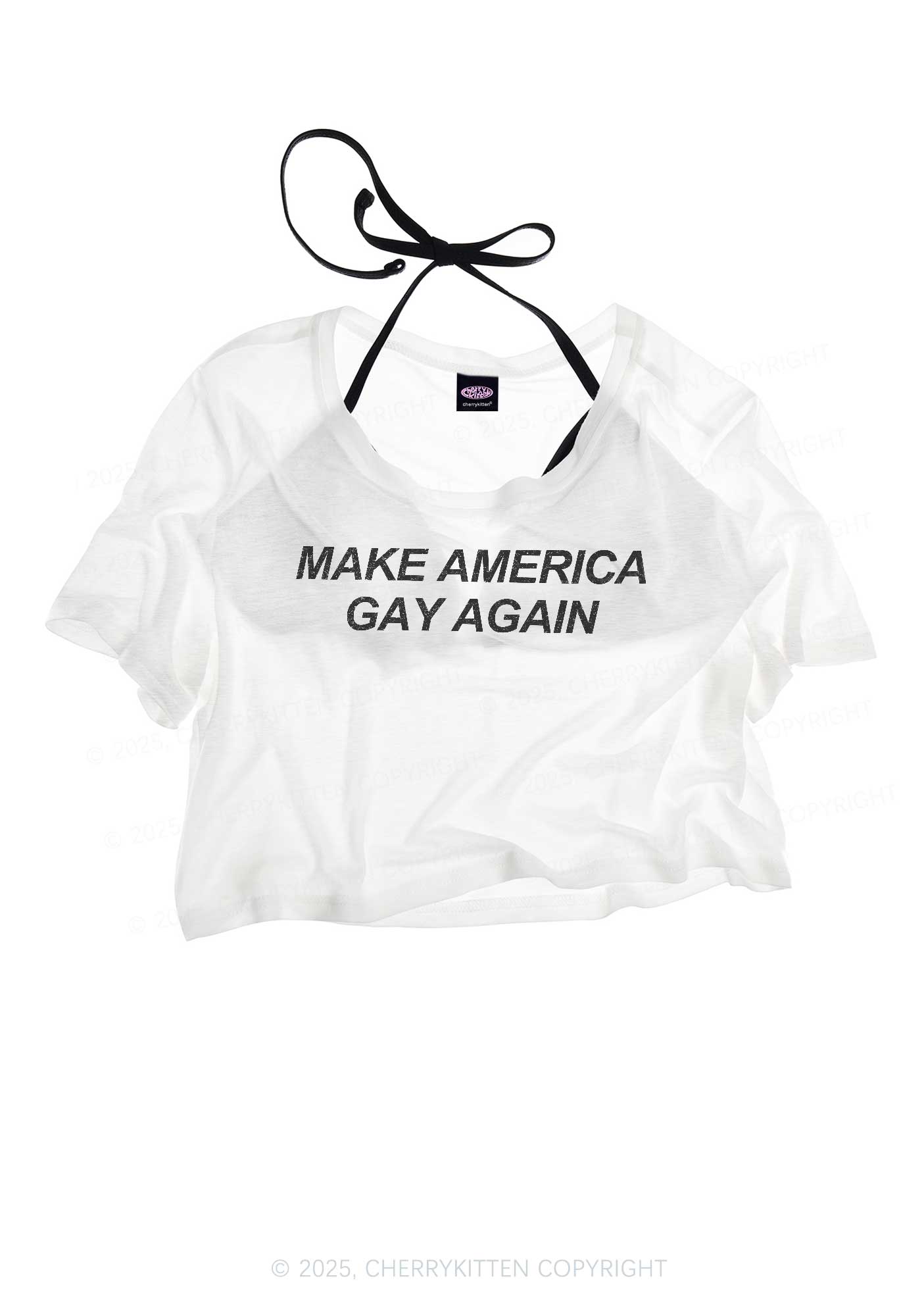 Make America Gay Again Pride Y2K Sheer Crop Tee Cherrykitten