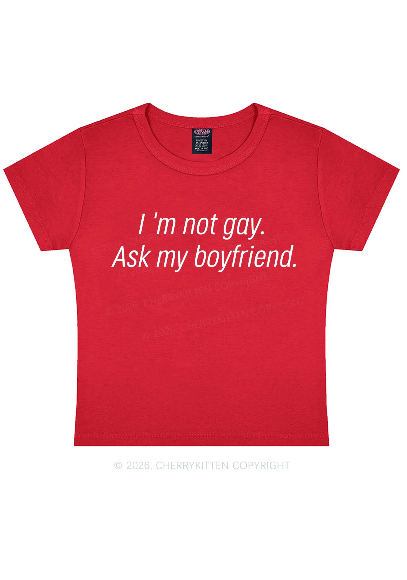 Im Not Gay Pride Y2K Baby Tee Cherrykitten