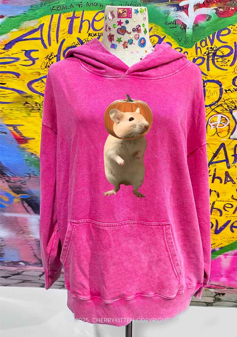 Halloween Silly Ratz Y2K Washed Hoodie Cherrykitten