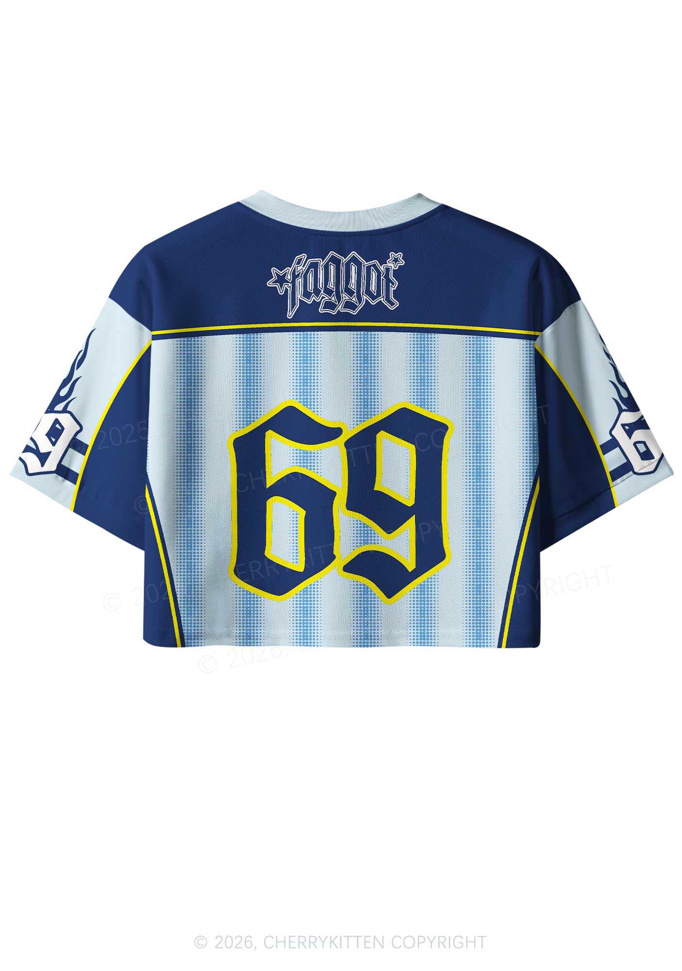 Blue Stripes Faggot Pride Y2K Crop Sport Jersey Shirts Cherrykitten