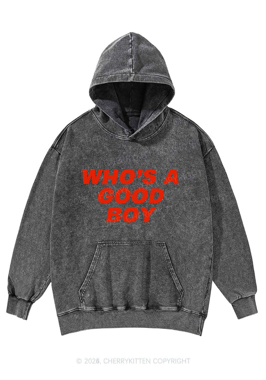 Whos A Good Boy Y2K Washed Hoodie Cherrykitten
