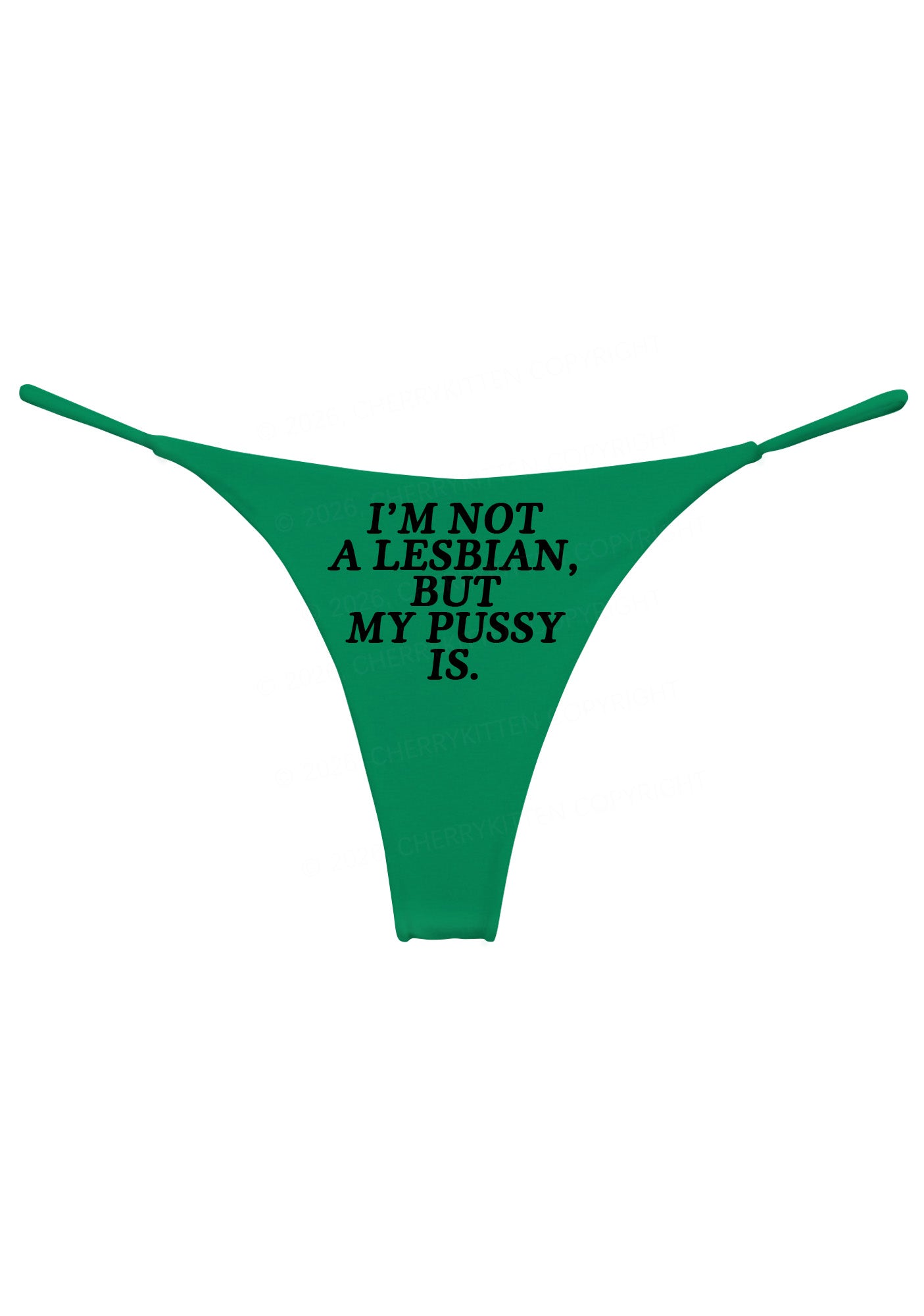 Im Not A Lesbian Pride Y2K Bikini String Thong Cherrykitten