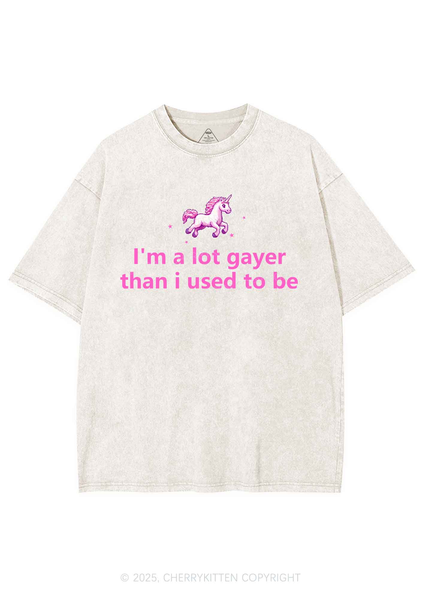 Im A Lot Gayer Pride Y2K Shirts Washed Tee Cherrykitten