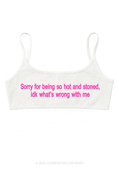 Sorry For Being Hot And Stoned Y2K Super Crop Cami Cherrykitten